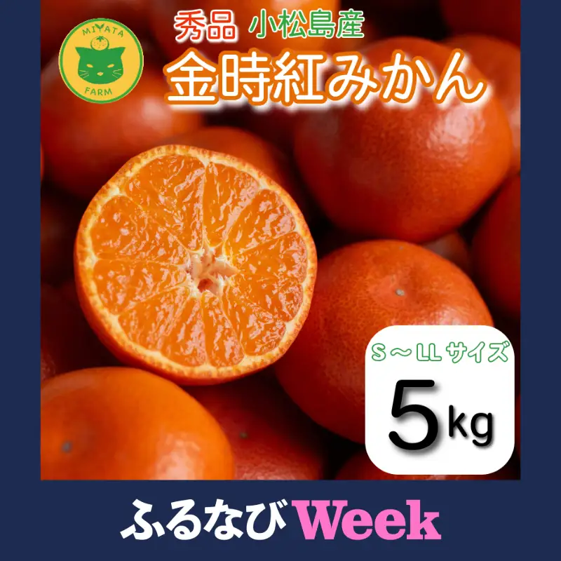 【ふるなびWEEK対象】【2026年12月順次発送】　金時紅みかん 5kg みかん 甘い 紅 みかん 柑橘 蜜柑