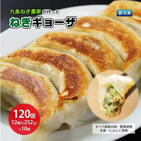 餃子 ねぎギョーザ 九条ねぎ 国産豚肉 餃子【12個×10袋】【冷凍】