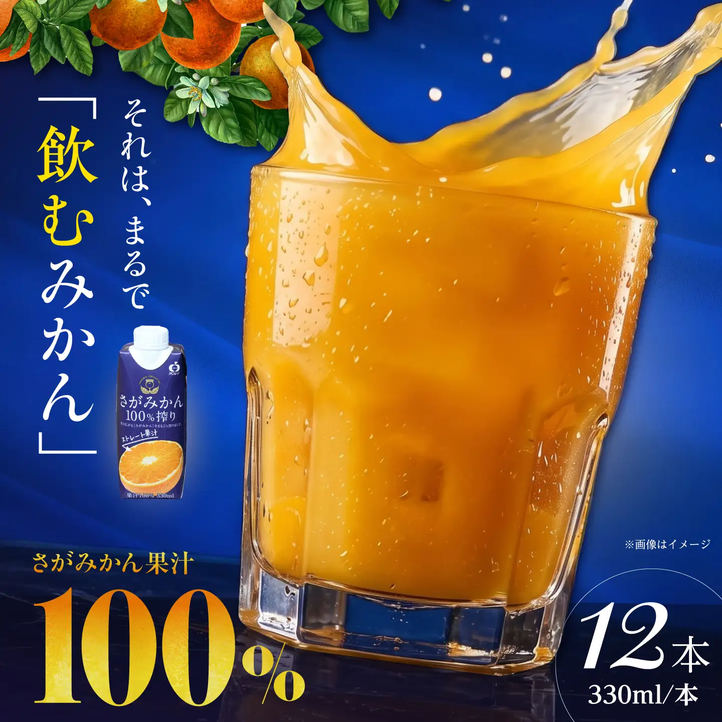 さがみかん100%搾り 330ml×12本入 【JAさが 杵島支所】[HAM098]
