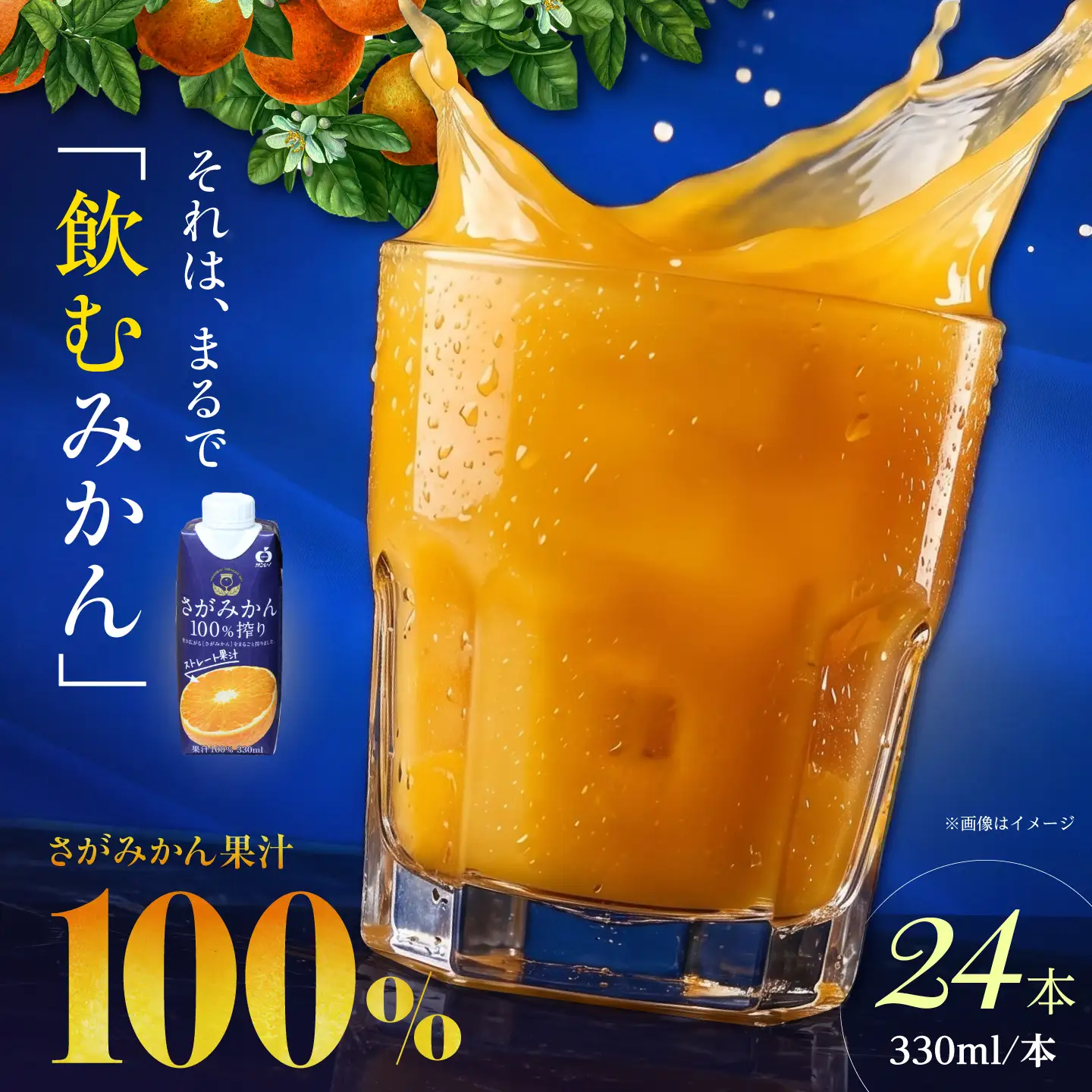 さがみかん100%搾り 2箱（330ml×12本入/箱） 【JAさが 杵島支所】[HAM099]