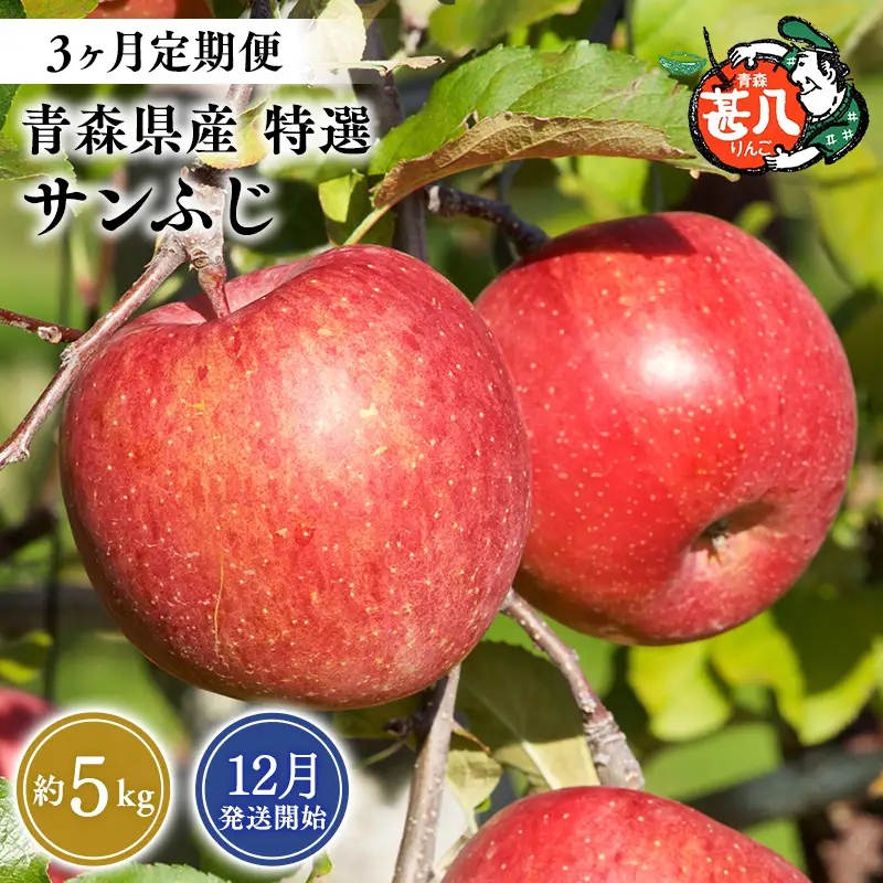りんご 【2026年12月発送開始】青森県産 サンふじ 特選 約5kg 3ヶ月定期便 りんご