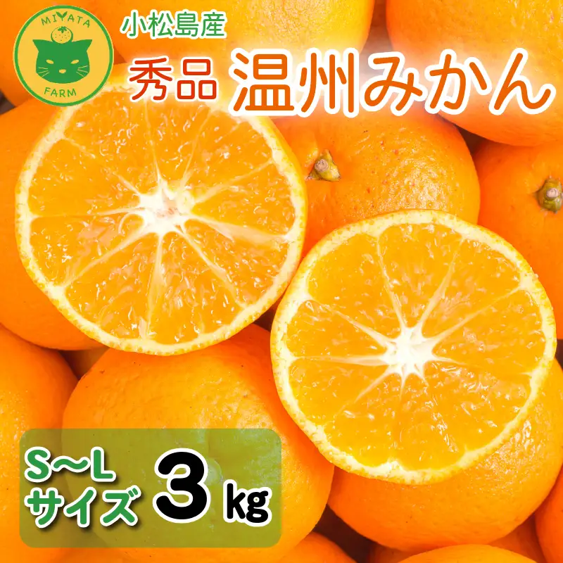 【2026年11月発送】 温州みかん 3kg 秀品 みかん