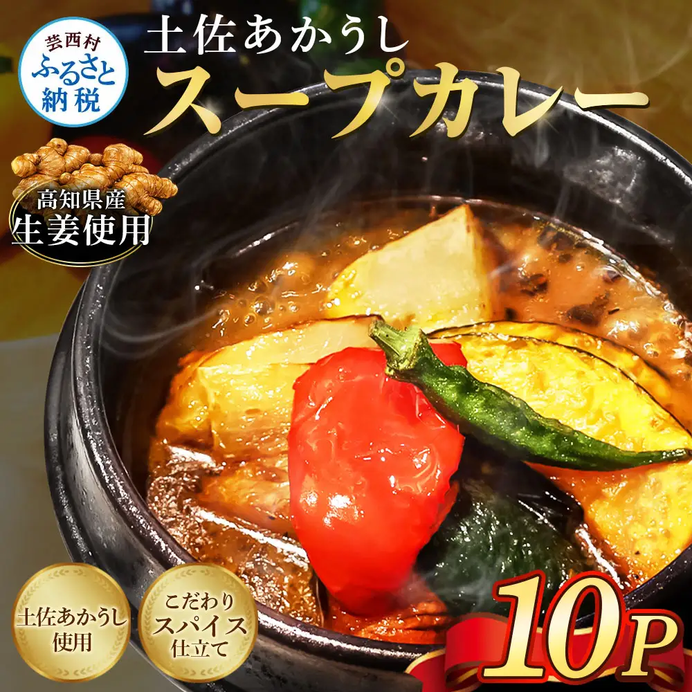 土佐赤牛　牛骨スープカレー10セット