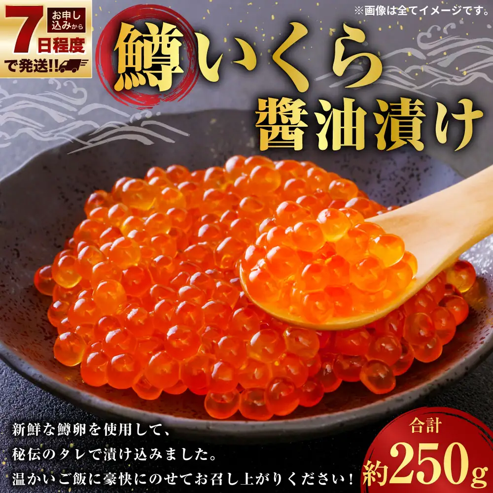 【 7日程度で発送 】 鱒いくら 醤油漬け 250g 鱒 いくら 醤油漬け いくら 醤油漬け 醤油 漬け 鱒卵 新鮮 秘伝のタレ 海鮮 卵 魚介類 魚介 冷凍 魚卵 ご飯のお供