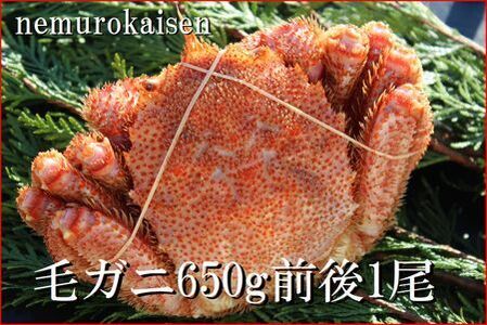 【北海道根室産】毛ガニ650g前後×1尾 C-57016