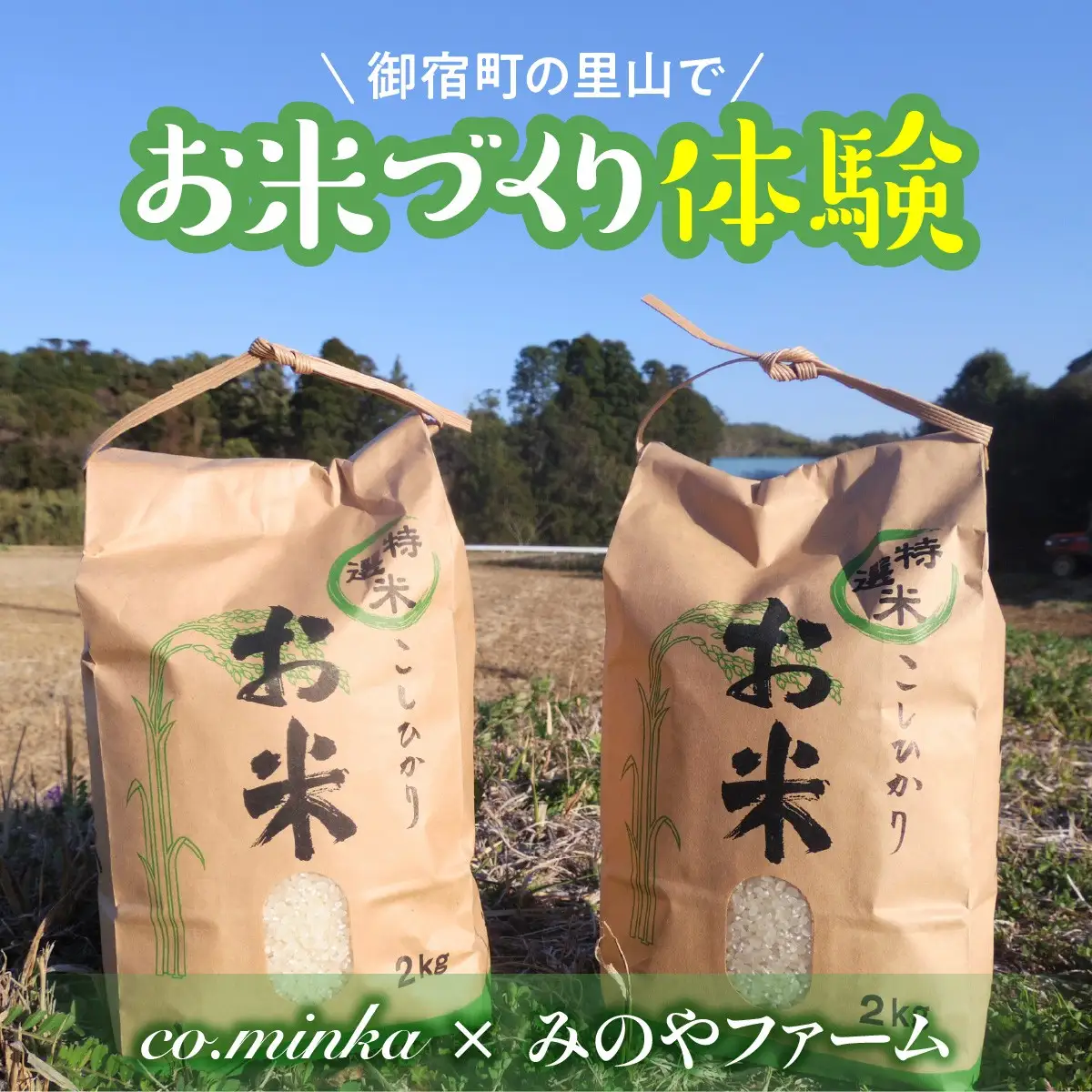 Ｌ７０５　２０２６年度田んぼ区画オーナー制度（２区画）【企業・団体様向け～１作業日につき最大１１名様受け入れ可能】 ONJX001