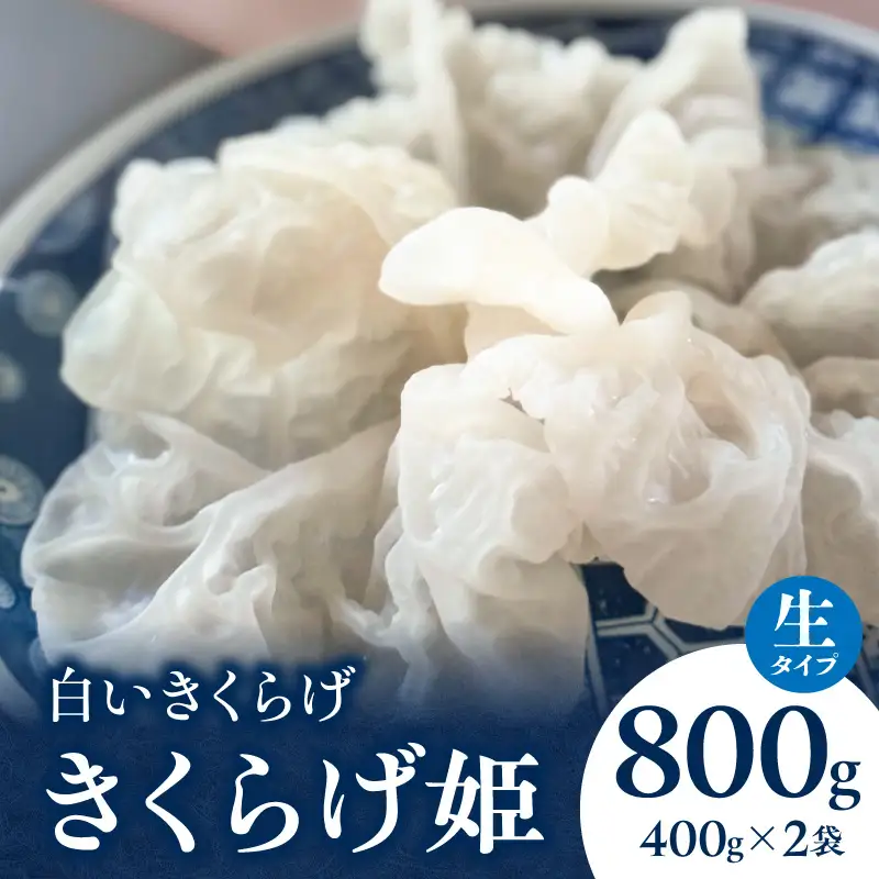 白いきくらげ「きくらげ姫」(生タイプ)800g きくらげ 白いきくらげ 木耳