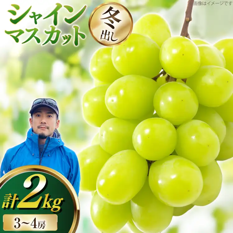 【期間限定発送】 シャインマスカット 冬出し 3～4房 約2kg