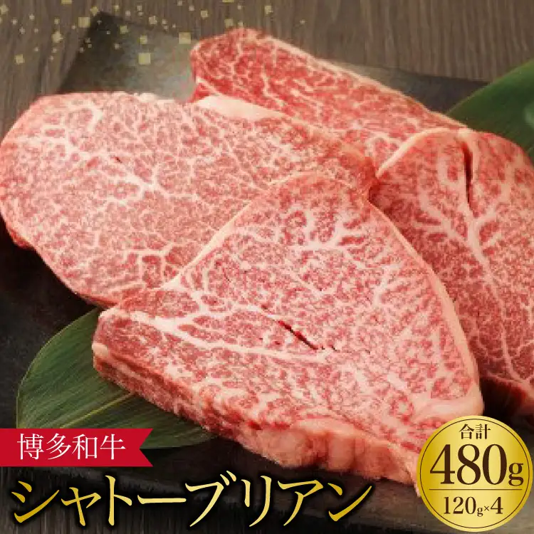 肉 博多和牛 シャトーブリアン 120g×4枚 計480g