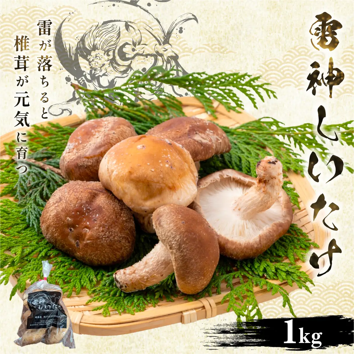 【先行予約 11月初旬から順次発送】千葉県大網白里市産「雷神しいたけ」1kg BC001
