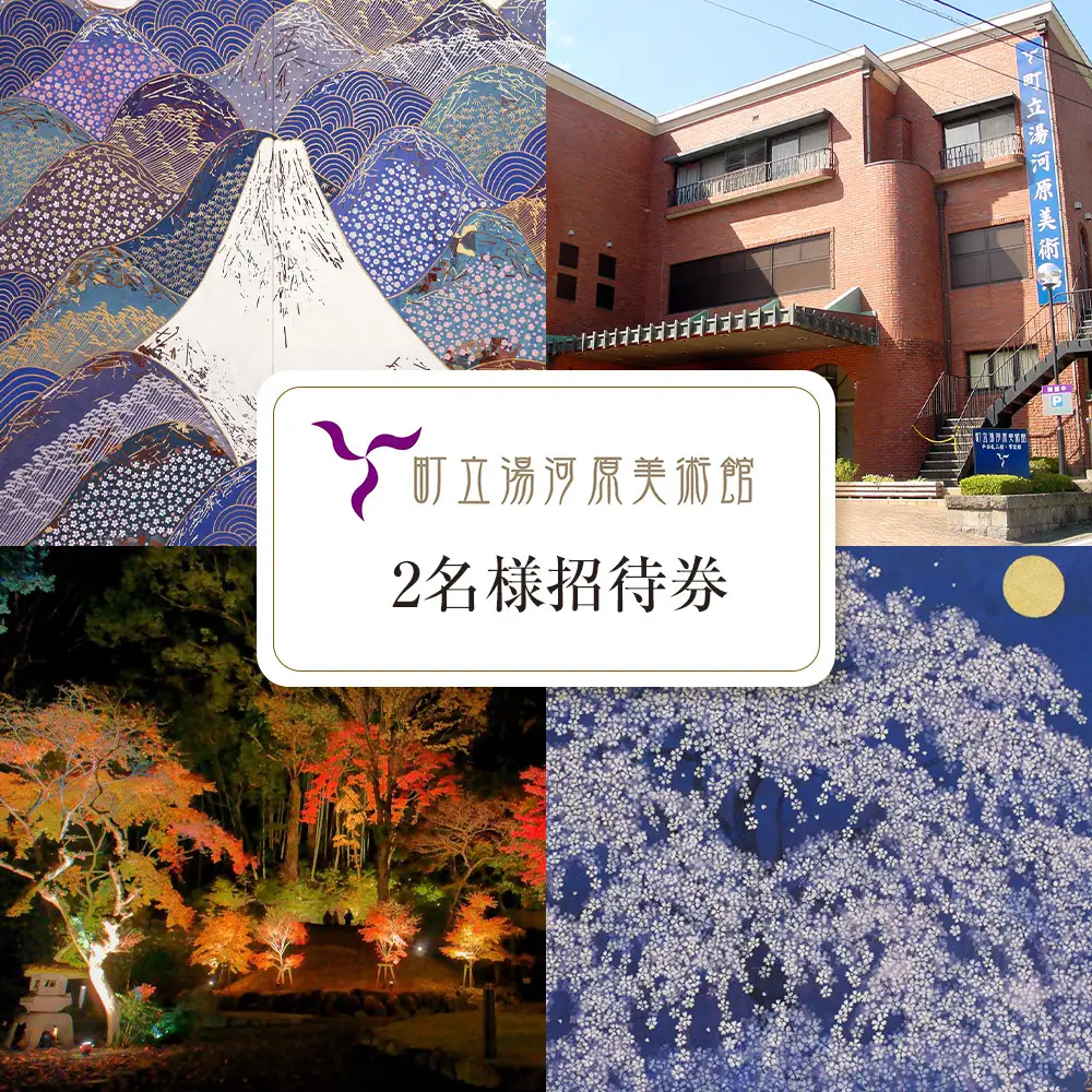 湯河原町立美術館　ペア招待券 | 湯河原町 町立美術館 文化施設 アート鑑賞 観光