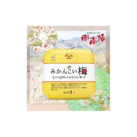 N074　みかんこい梅