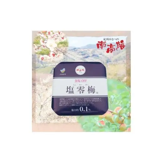 N073　塩零梅