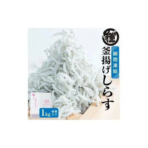 N213　釜揚げしらす　１Ｋｇ
