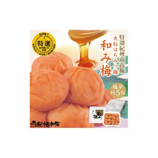 N066　紀州完熟南高梅　和み梅