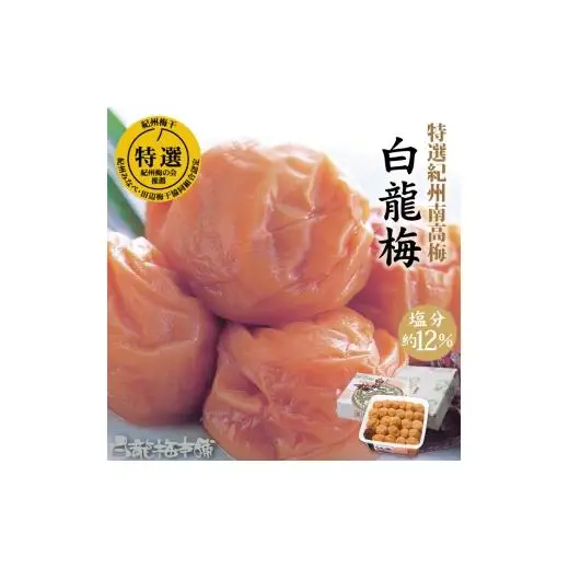 N063　紀州完熟南高梅　白龍梅
