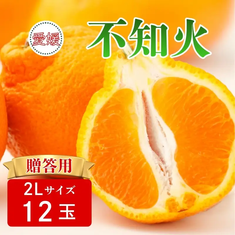 【2027年先行予約】みかん 不知火 2Lサイズ 12玉 贈答用 【2027年3月中旬順次発送予定】 数量限定 愛媛みかん ミカン 蜜柑 果物 くだもの フルーツ 柑橘 かんきつ 柑橘類 おすすめ 人気 国産 伊予市 愛媛｜A132