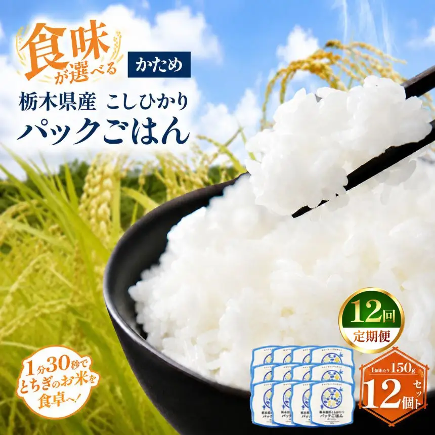 【定期便12回】栃木県産こしひかり パックごはん(かため)　1パック(150g)×12個