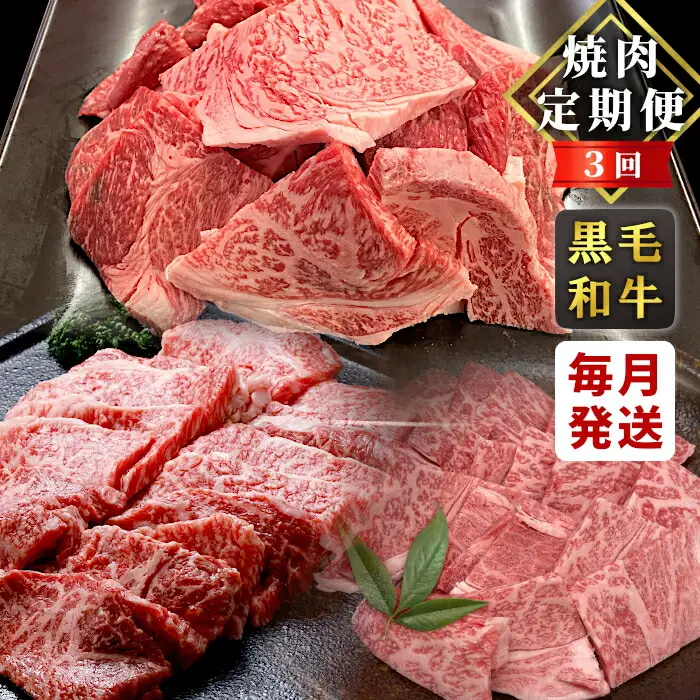 焼き肉づくし★国産黒毛和牛 焼肉定期便 切り落とし リブロース カタロース モモ バラ 焼肉 定期便 BBQ バーベキュー 長野県 根羽村 根羽こだわり和牛 肉 牛肉 和牛 黒毛和牛 霜降り 赤身 30000円 30,000円 3万円
