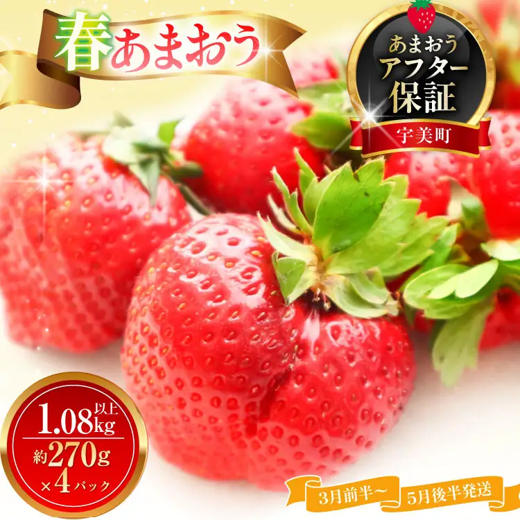 いちご あまおう 春あまおう 270g以上 4p 計1080以上 【3月前半～5月後半発送】 期間限定 いちご