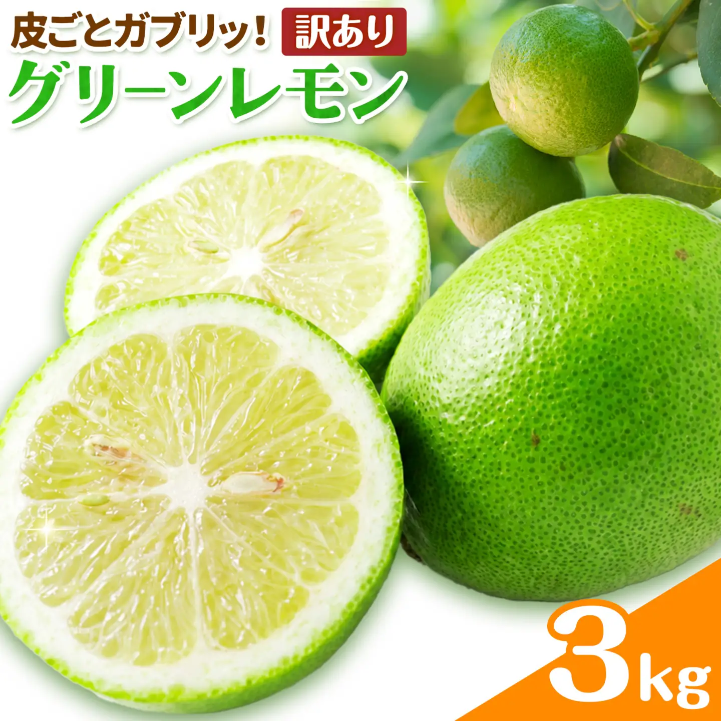 グリーン レモン 訳あり 3kg 三ツ山レモンファーム 檸檬
