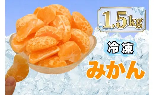 冷凍みかん 1.5kg （ 500g × 3袋 ） 熊本県産みかん使用 瞬間冷凍 シャーベット 果物 くだもの フルーツ 柑橘系 柑橘類 みかん ミカン 果肉 国産 果汁 冷凍