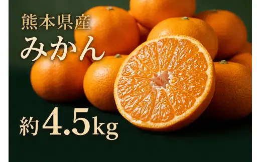 贈答用 熊本県産 みかん 約4.5kg 鮮度 果物 くだもの フルーツ 柑橘系 柑橘類 みかん ミカン 果汁 果肉 国産 贈り物 贈答品 【 2026年11月上旬発送開始 】