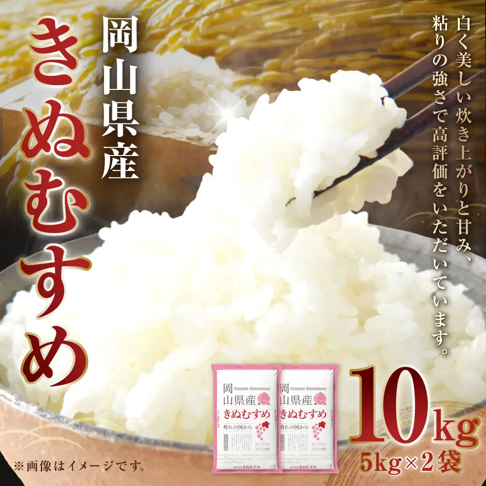 【 令和7年産 】 岡山県産 きぬむすめ 10kg （ 5kg × 2袋 ） お米 米 こめ 白米 白飯 飯 ご飯 おにぎり ブランド米 ブランド 国産 コメ