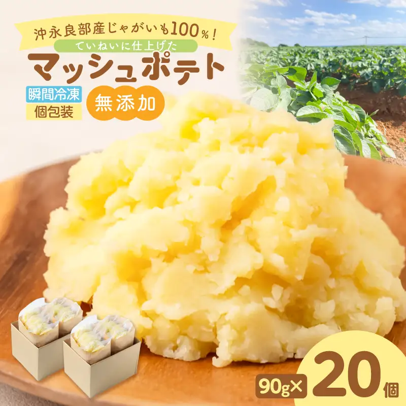 沖永良部産 じゃがいも 100％！ていねいに仕上げた 無添加 マッシュポテト 90g×20個 W071-001-02 離乳食 介護食