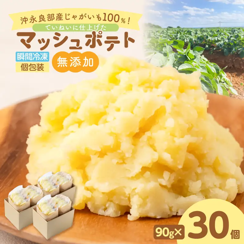 沖永良部産 じゃがいも 100％！ていねいに仕上げた 無添加 マッシュポテト 90g×30個 W071-001-03 離乳食 介護食