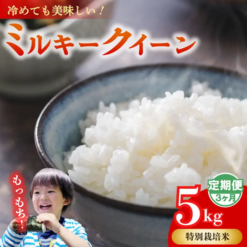 【3ヶ月定期便】 ミルキークイーン 5kg × 3回【無洗米】牧之原市 静岡県 山本耕業