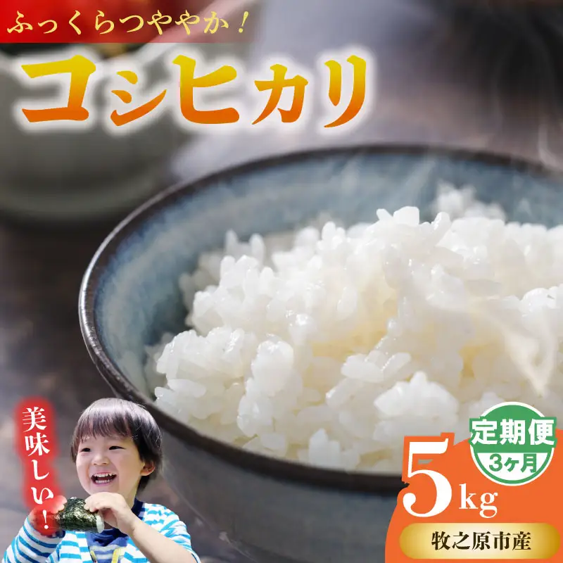 【3ヶ月定期便】 コシヒカリ 5kg × 3回 無洗米 牧之原市 静岡県 山本耕業