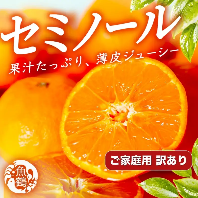 【ご家庭用訳あり】ジューシー柑橘　セミノールオレンジ　5kg【5月上旬～5月下旬に順次発送予定】【uot870】