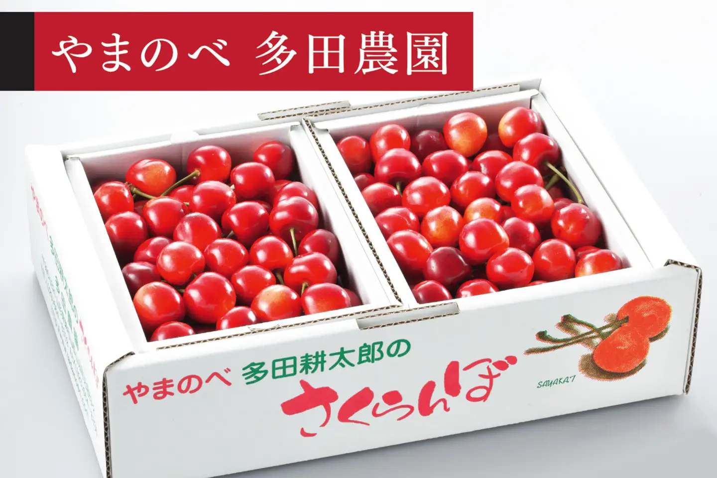 《先行予約》2027年産 山形県産  さくらんぼ「真夏のルビー紅姫」バラ詰 1kg やまのべ多田耕太郎のさくらんぼ tn-bhxbp1000