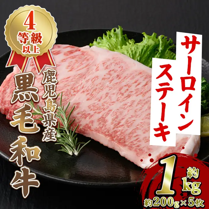 鹿児島県産 黒毛和牛 4等級以上 サーロイン ステーキ (約1kg・約200g×5枚) 国産 牛肉 サーロイン ステーキ 4等級 バーベキュー BBQ おかず 冷凍 ステーキ肉 お肉 大判 個包装 【スターゼン】akn042-71