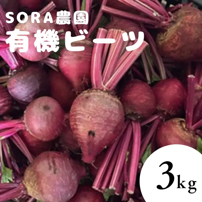 【6月上旬～順次発送】SORA農園の有機ビーツ3kg　有機野菜 有機農園 オーガニックファーム オーガニック野菜 有機栽培 ビーツ