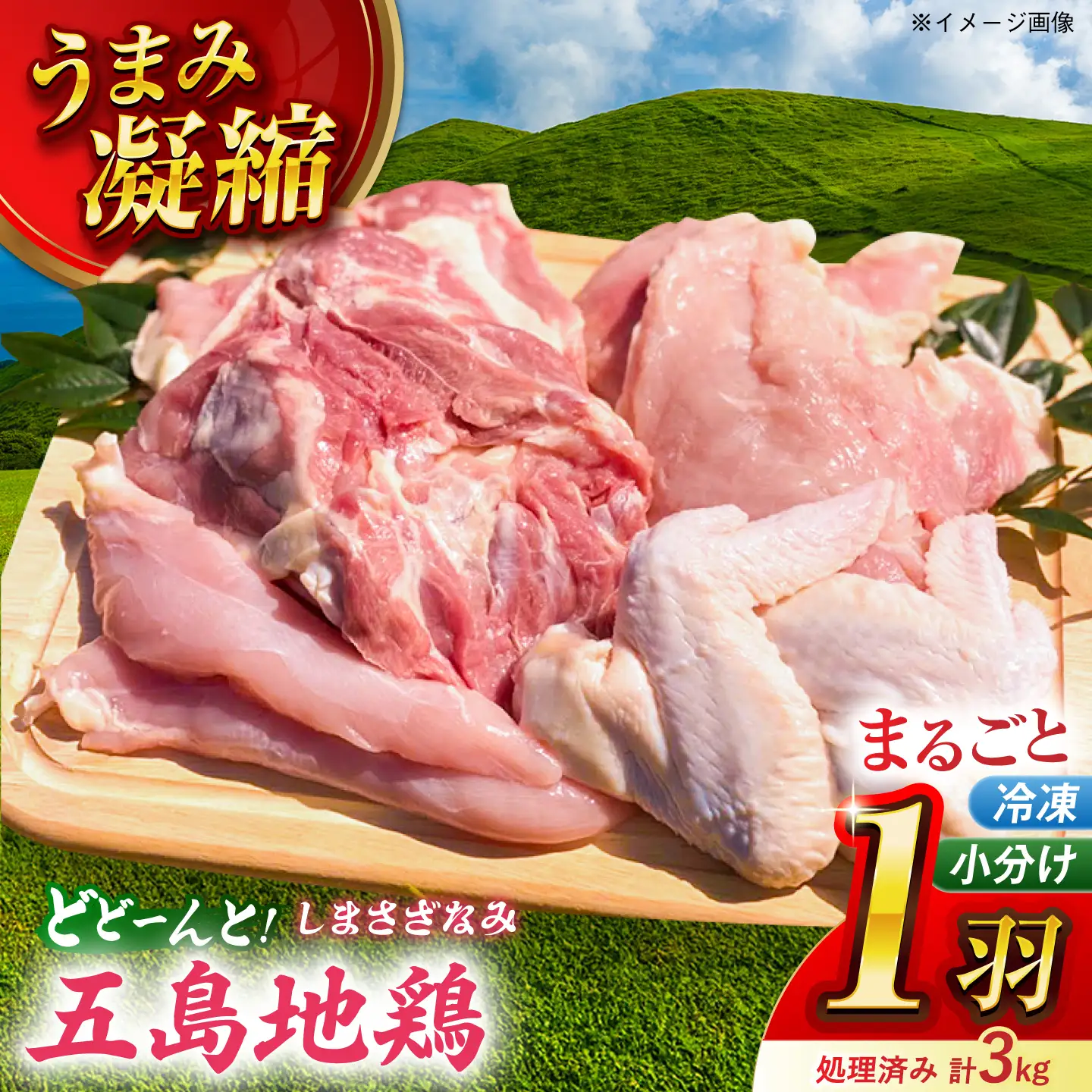 五島しまさざなみ まるごと1羽分セット 冷凍 五島市/合同会社五島さざなみ農園[PHH001]