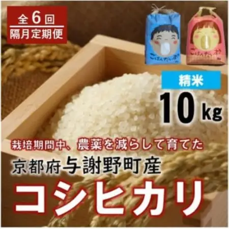 【2ヵ月毎定期便】京都丹後産コシヒカリ　精米10kg　栽培期間中農薬を減らして育てたお米全6回【4086479】