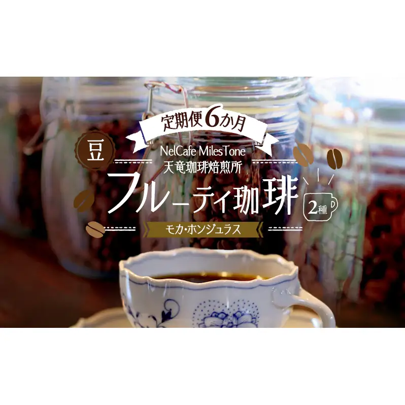 【定期便6か月】フルーティ珈琲2種（モカ・ホンジュラス）  豆 コーヒー豆 珈琲豆 コーヒー 静岡 浜松市