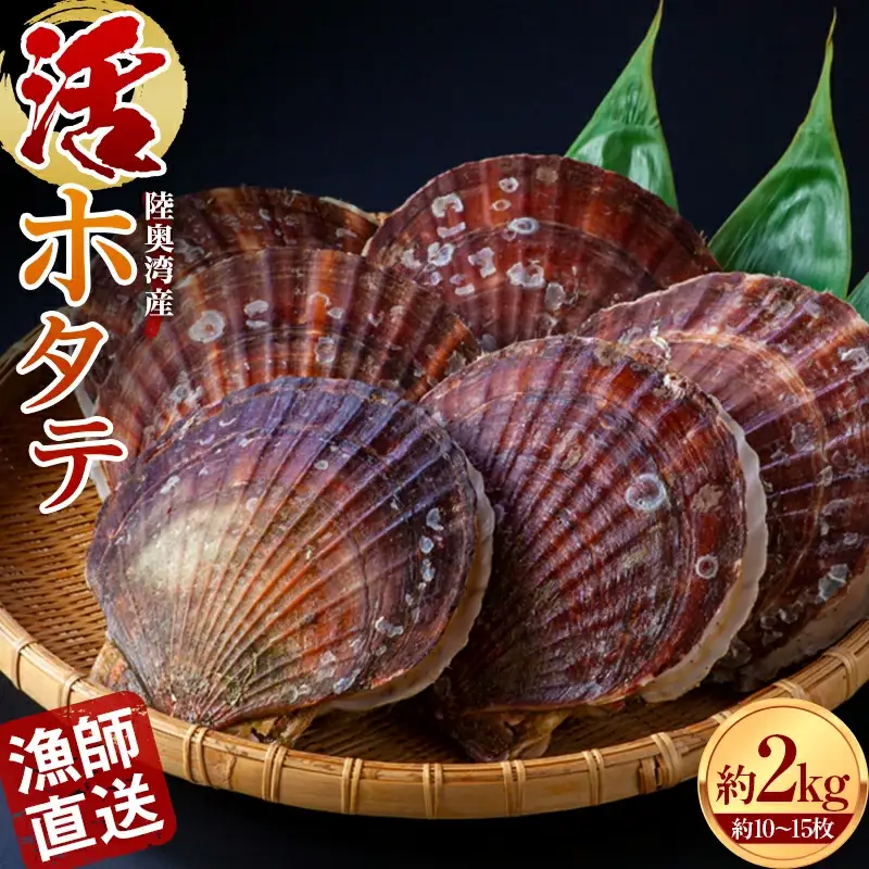 ≪希少≫ ひらない活貝組 漁師直送 活ホタテ 約2kg 【琉宝丸】 F21J-189