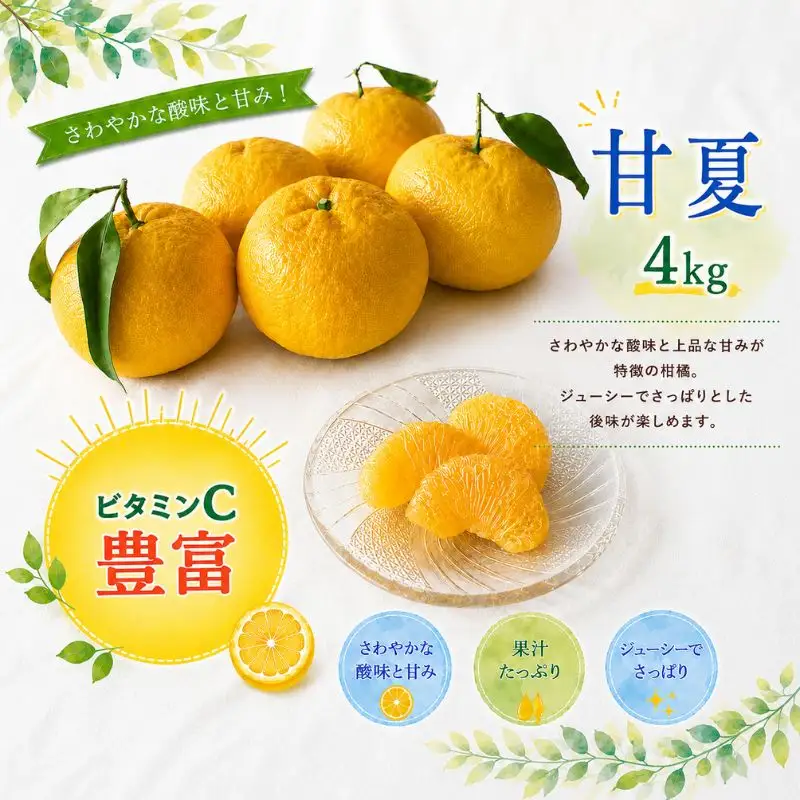 甘夏 【秀品】4kg 人気【期間限定・数量限定・先行予約】柑橘 産地直送 贈答品 ギフト 果物 フルーツ 田辺市 和歌山県 甘夏 【ymh027】