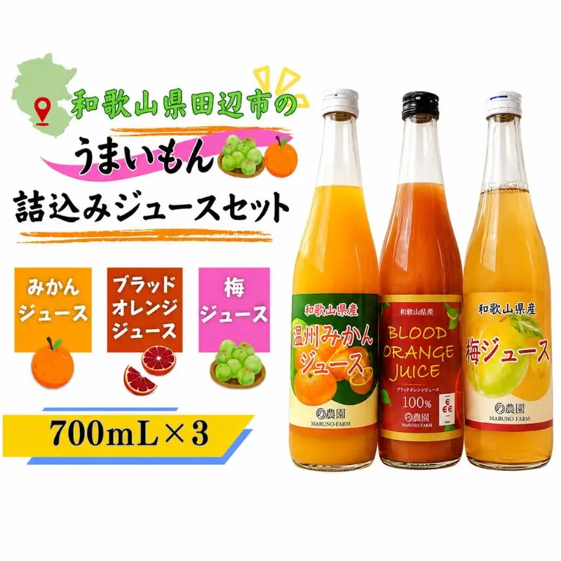 和歌山県田辺市のうまいもん詰込みジュースセット/みかんジュース 梅ジュース  ブラッドオレンジジュース各700ml【mrn024】