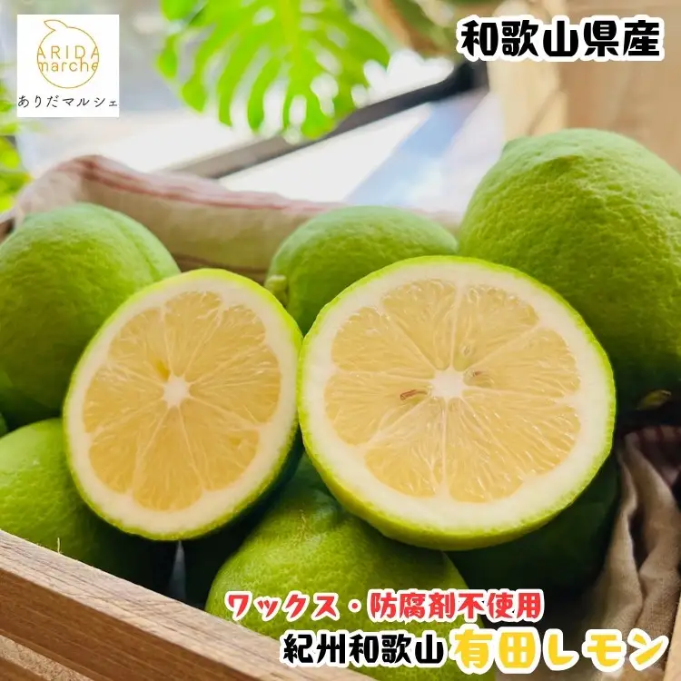 ［先行予約］［国産］紀州和歌山 有田レモン 1kg ［MS66］
