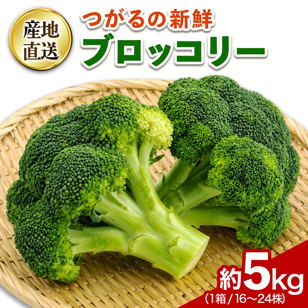 つがるの新鮮ブロッコリー 約5kg(16株から24株) [1005]