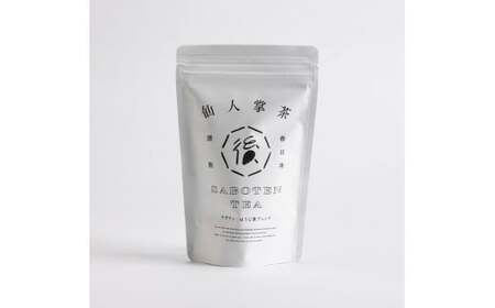 仙人掌茶（サボテン茶）6個入セット