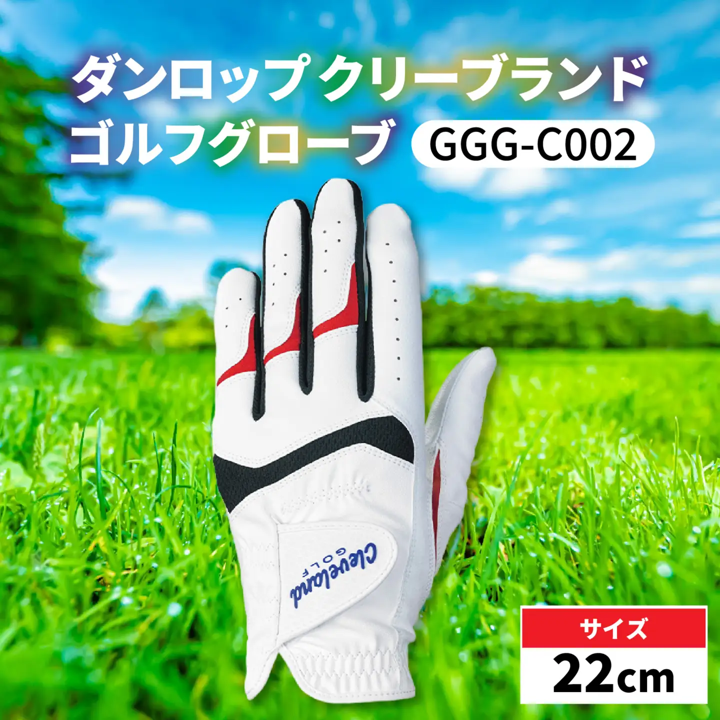 ダンロップ クリーブランド ゴルフグローブ GGG-C002 左手用【22cm】 ゴルフ