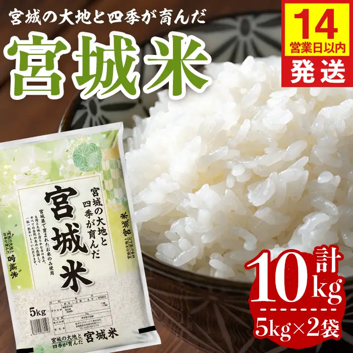 【14営業日以内に発送予定】宮城米 10kg (5kg×2袋) ブレンド米 業務用 お米 おこめ 米 コメ 白米 ご飯 ごはん おにぎり お弁当 【登米ライスサービス株式会社】tm733