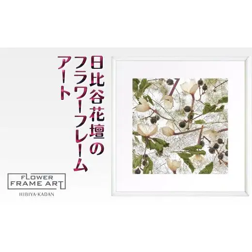 日比谷花壇のフラワーフレームアート Timeless Whispers（永遠のささやき） ソフケン アルミフレーム 25x25cm アートポスター ポスターフレーム 花ポスター インテリア おしゃれ 花 植物 贈り物 プレゼント ギフト 軽量フレーム ボタニカルアート フラワーアート 癒しの空間