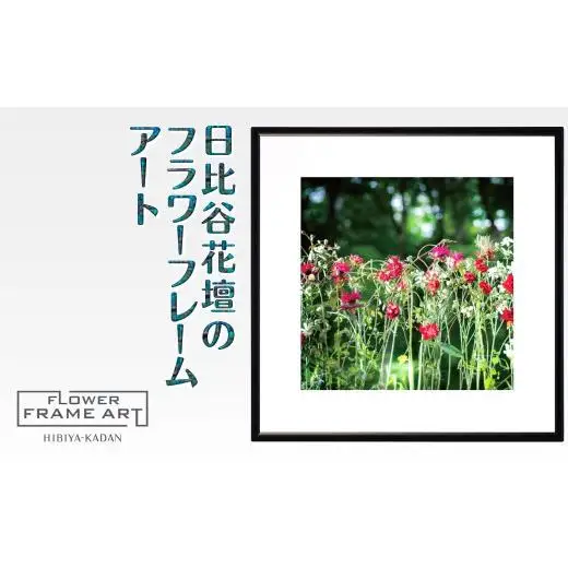 日比谷花壇のフラワーフレームアート Sunlit Bloom（陽光満開） ソフケン アルミフレーム 25x25cm アートポスター ポスターフレーム 花ポスター インテリア おしゃれ 花 植物 贈り物 プレゼント ギフト 軽量フレーム ボタニカルアート フラワーアート 癒しの空間