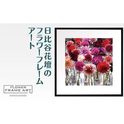 日比谷花壇のフラワーフレームアート Metropolitan Dahlias（メトロポリタンのダリア） ソフケン アルミフレーム 25x25cm アートポスター ポスターフレーム 花ポスター インテリア おしゃれ 花 植物 贈り物 プレゼント ギフト 軽量フレーム ボタニカルアート フラワーアート 癒しの空間